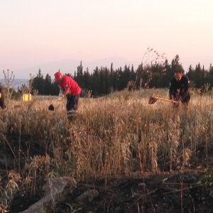 Μεγάλη φωτιά στην Πυλαία