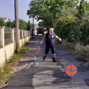 Φωτιά σε Ταγαράδες και Νέο Ρύσιο