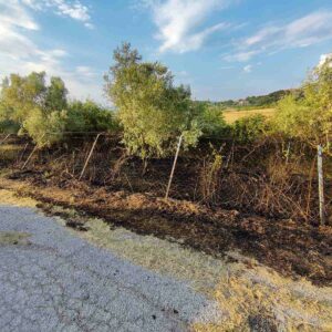 Φωτιά στη διασταύρωση Πλαγιαρίου Ν.Μηχανιώνας
