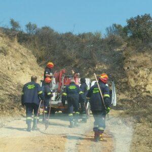 Φωτιά μεταξύ Τριλόφου-Πλαγιαρίου